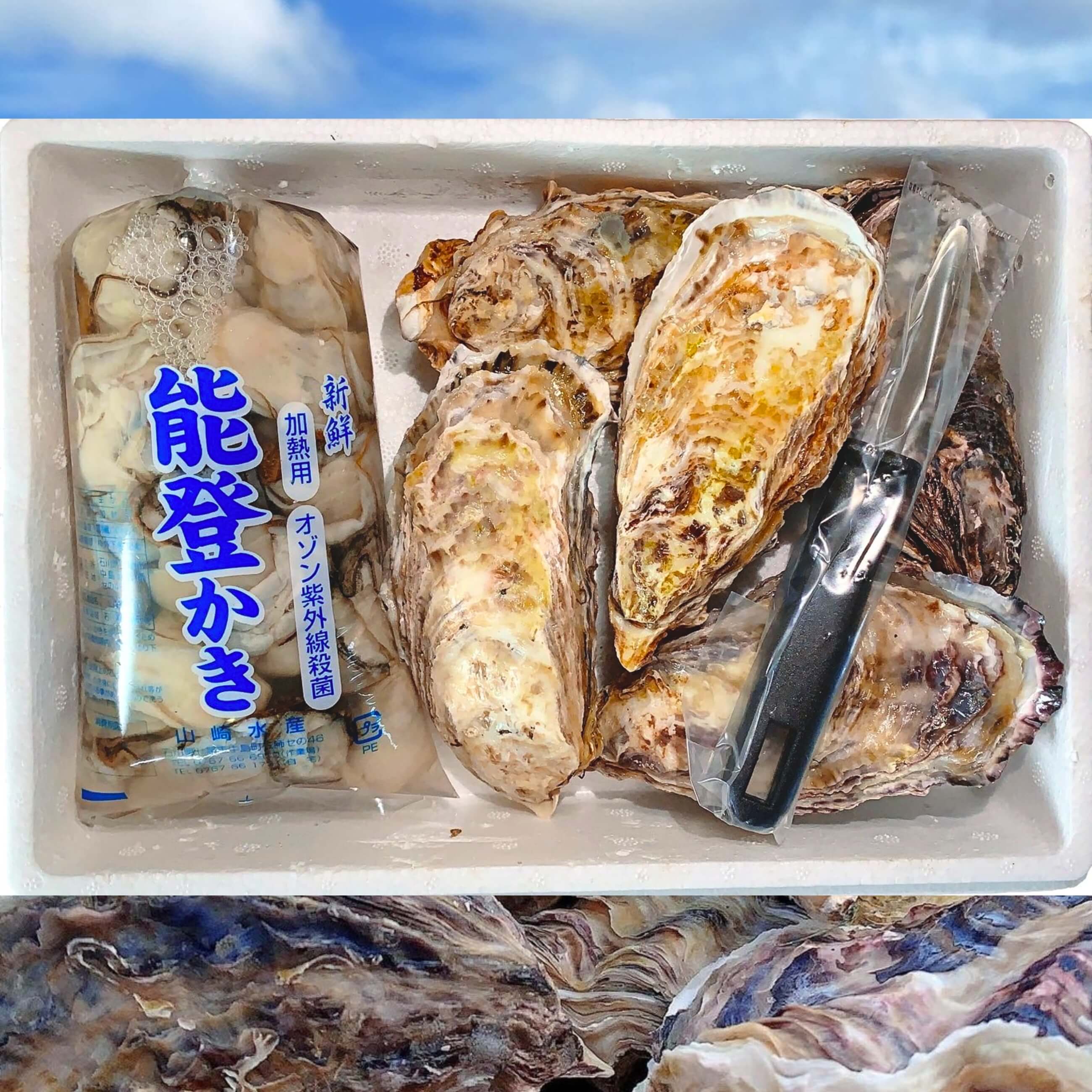 【送料無料】【能登かき】【七尾湾】朝どれ！能登牡蛎のむき身（加熱用）・殻付き牡蛎セット（ナイフ付）【期間限定品】